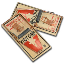 Victor Brand Mousetraps (10-pack)